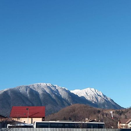 Piatra Craiului Residence Zărneşti מראה חיצוני תמונה
